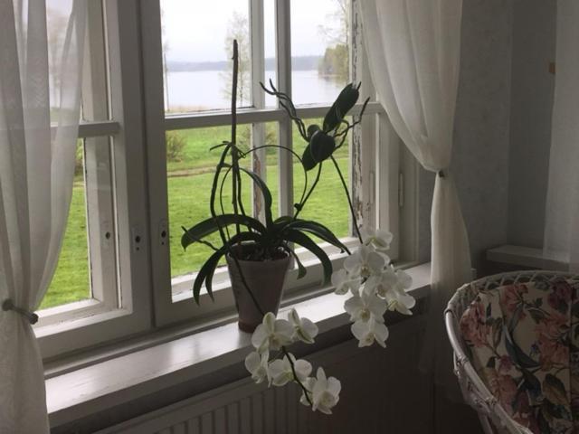 Lomatila Ollila Farm Stay Kerimäki Екстериор снимка