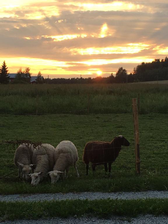 Lomatila Ollila Farm Stay Kerimäki Екстериор снимка